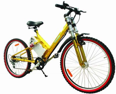 electric bike