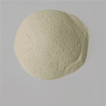 Rice Protein Concentrate