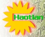 Haotian 