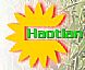 Haotian 