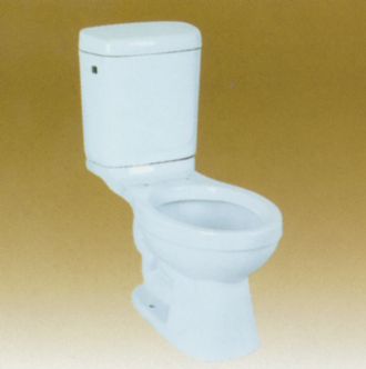 one-piece toilet