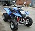atv 300cc with EEC