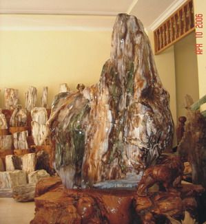 Petrified Wood