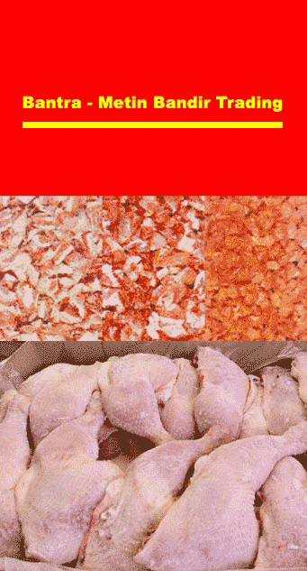 bantra - Metin-Bandir Trading