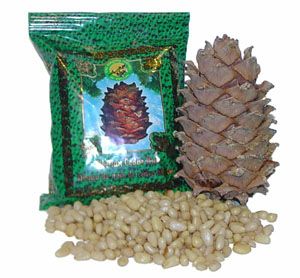Pine Nuts 100g. Shelled