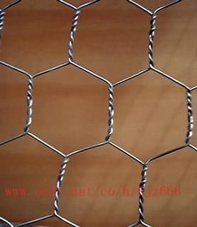 Hexagonal wire mesh 