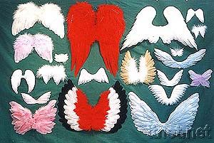 Feather Angle Wings