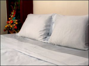 Egyptian Cotton Solid queen blue