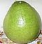 Pomelo