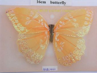 feather butterfly