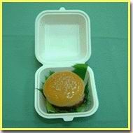 disposable hamburger box