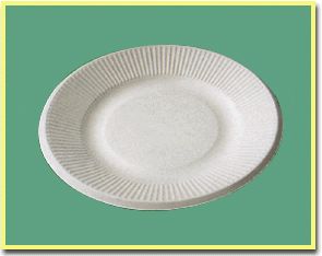 disposable plate