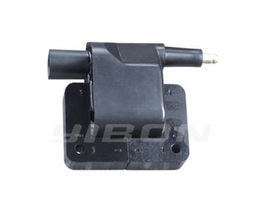 Ignition Coil Dry  