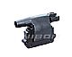 Ignition Coil Dry  