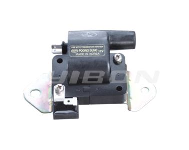 Ignition Coil Dry  