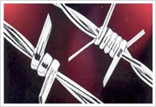 barbed wire 