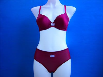 bra,lingerie.underwear