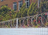 barbed wire mesh