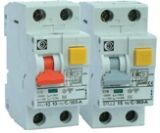 Residual Current Circuit Breaker (RCBO)