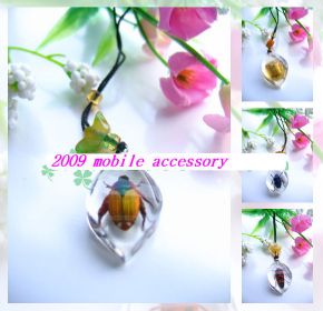 wholesale real insect accssory