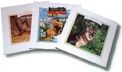 packaging and printing 