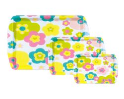 household plastic plate