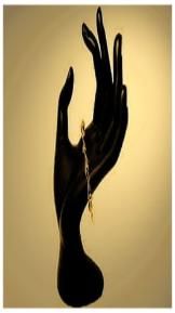 Importer Fashion and Promotional Gifts