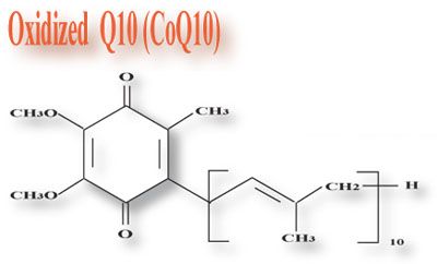 Coenzyme 
