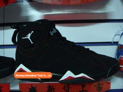 Nike Shoes Nike Air Jordan (AJ 8)