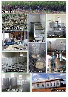 Sugar cane Brandy (cachaa) from Brazil