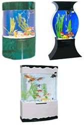 arclic aquarium