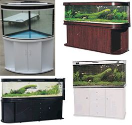 glass aquariums