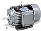 Y Series Three-Phase Asynchronous Induction Motor