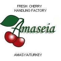 AMASYA A.S.