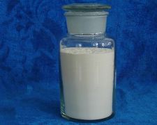 soy protein isolate