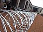 razor wire 