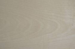 Chinese maple veneer