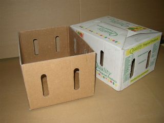 Carton Box