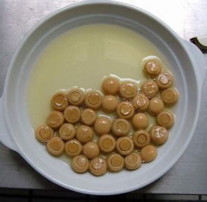 canned mushroom