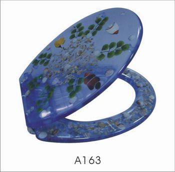 Resin toilet seat