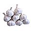 Fresh white Garlic