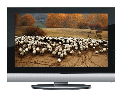 42 inches LCD TV