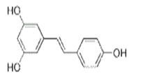 Resveratrol 50% 98%