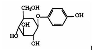 Bilberry Extract 25%
