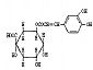Chlorogenic acid 25% 50% 98%
