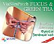SLIM PATCH with FUCUS & GREEN TEA