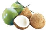 Coconut (Fresh & Dried)