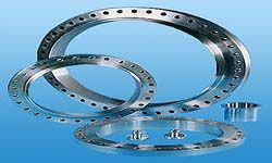 Stainless Steel Flanges