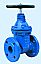 BS5163 resilient seated gate valve