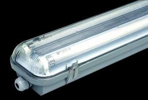 T5 series fluorescent light